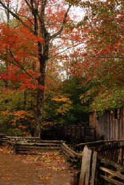 Fall.season.2008.e.jpg