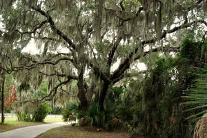 JekyllIsland.2.jpg