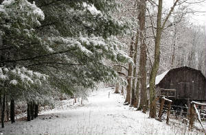 Snow.barn.2009.jpg