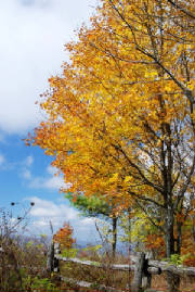 fall.2007.BeautySpot.2.jpg