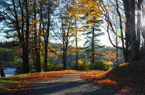 fall.2007.MosesCone.1.jpg