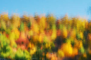 fall.2007.abstract.JPG