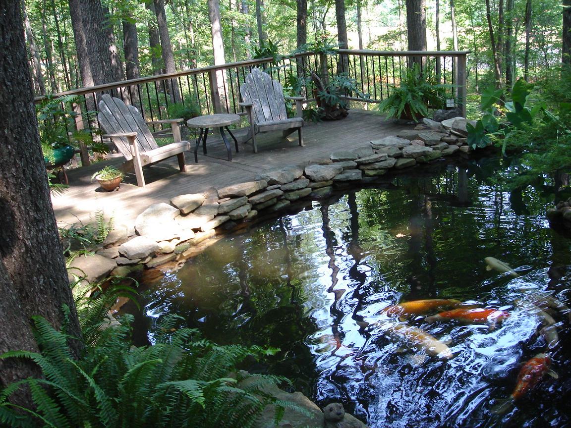 Pond4.JPG