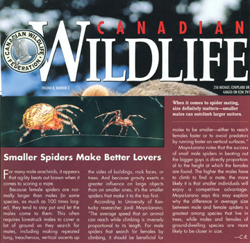 CanadianWildlifespiders.jpg