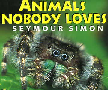 Simonbookjumpingspider1.jpg