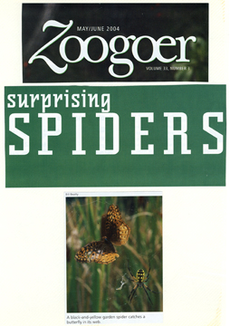 Zoogoerspider0001.jpg