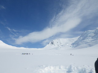 View up Mountain from 9500'